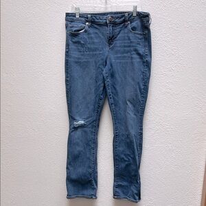 American Eagle Outfitters Skinny Kick Jeans Size 16 R